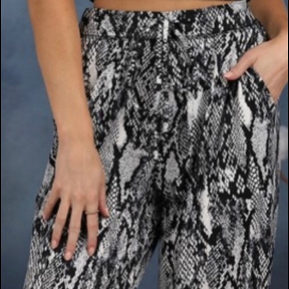 Joggers - Plus Size NWT! - Picture 3 of 3